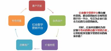 上海億業網絡科技 引領網絡技術開發新時代